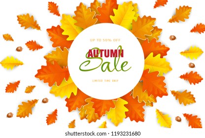 Autumn sale poster of discount promo web banner for autumnal seasonal shopping of maple leaf, rowan berry or oak acorn.