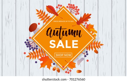 Autumn sale poster of discount promo web banner for autumnal seasonal shopping of maple leaf, rowan berry or oak acorn and mushroom. Vector design template 50 percent shop offer template advertising.