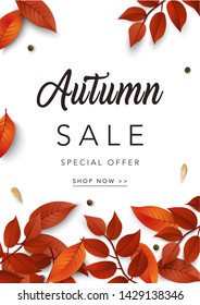 Cartel de la venta del otoño. Plantilla de banner web de venta y descuento con hojas de otoño. Ilustración vectorial para banner web, tarjeta, volantes, carteles, banners, promociones.