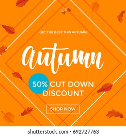 Autumn sale poster of frame and maple leaf pattern for autumnal shopping promo 50%. Vector September fall leaf foliage and discount text design for shop poster, leaflet or web banner