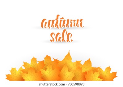 Autumn sale poster with hand drawn letters and maple leaves. Vector