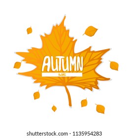 Autumn sale poster isolated on white background. Yellow fallen leaves.