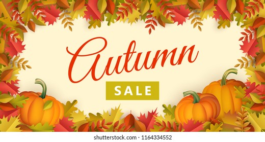 Autumn sale poster template with fall leaves, pumpkins on border frame background with. Seasonal advertising poster template with floral maple oak tree orange leaves thanksgiving vector