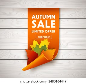 Autumn Sale Price Tag. Vector illustration