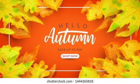 Autumn sale promo background. Vector illustration with autumn leaves of rowan, maple, linden and oak on orange background. Seasonal discount offer.