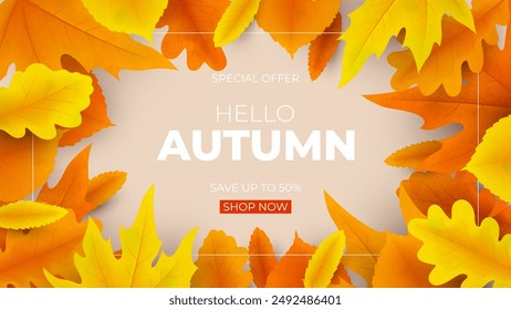 Autumn sale promo banner design. Vector illustration with colorful leaves. Bright autumn banner for decoration seasonal discount offer, advertising, poster, flyer, web, social media.