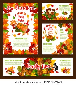 Autumn Sale promo web banners and shopping discount bestsellers posters for 30 percent price off offer. Vector pumpkin or mushroom harvest, autumn maple leaf or oak acorn and rowan berry or pine cone