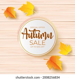 autumn sale promotion design with leaves over wooden board. vector illustration