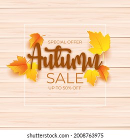 autumn sale promotion design with leaves over wooden board. vector illustration