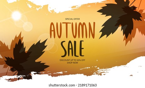 Autumn Sale promotional banner. Fall season special offer background with autumn leaves and white brush strokes for business, seasonal shopping and advertising. Vector illustration.