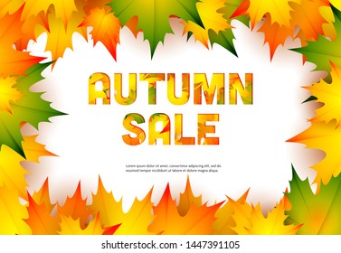 Autumn sale retail banner design with fall maple leaves. Text in frame and yellow, orange and green foliage isolated on white. Vector illustration can be used for flyers, posters, ads, promo