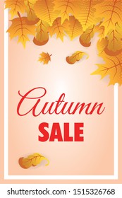 autumn sale seasonal label icon vector illustration design