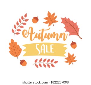 autumn sale, shopping sale or promo poster, autumnal foliage leaf acorn vector illustration