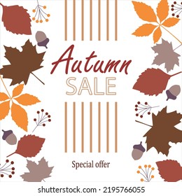 Autumn sale square banner. Colorful leaves, acorns and berries, vertical stripes on white background. Design template for discount labels, flyers and shopping. Vector illustration.