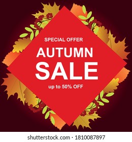 Autumn sale in square frame with leaves. Vector illustration