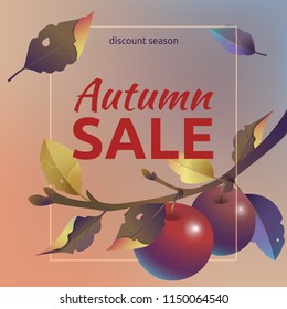Autumn sale. Square layout with apples, yellow leaves and text to create a promotional poster, banner, advertising, other sale advertising. Vector illustration template or background