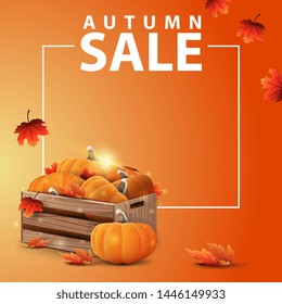 Autumn sale, square web banner for your website with wooden crates of ripe pumpkins and autumn eaves