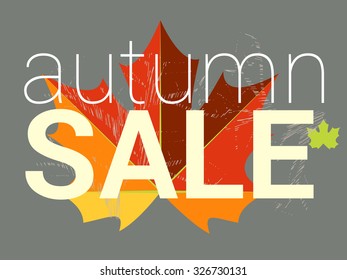 Autumn sale tag, price or discount card. Maple leaf in red, brown, orange and yellow colors