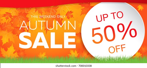 autumn sale template banner, vector illustration