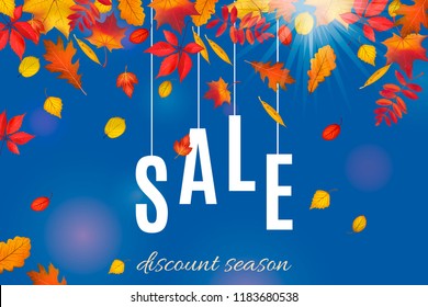 Autumn sale template with leaves isolated on clear blue sky background. Abstract fall sunny background for your discount banner design. Vector illustration