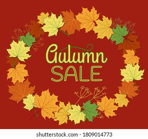 Autumn sale of a test vector banner with colorful seasonal autumn leaves on a maroon background for buying a discount. Vector illustration.