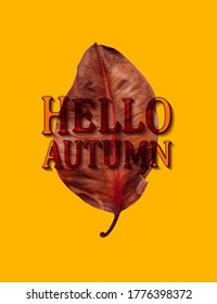 Autumn sale text vector banner with colorful seasonal autumn leaves on a white background to promote discounts on purchases. Vector illustration.