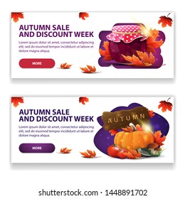 Autumn sale, two horizontal stylish light web banner