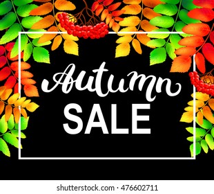 Autumn sale  typography poster with colorful  rowan leaves and berries. Vector illustration.