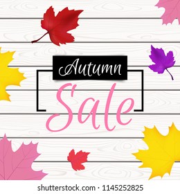 Autumn sale vector background. Colorful leaves on wooden background.  Sale banner.