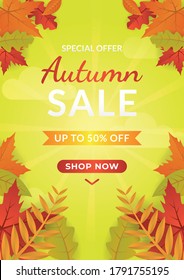 Autumn sale vector background decorate with leaves for holiday sale promo, invitation card and greeting card. Vector illustration template
