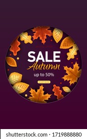 Autumn sale vector background. Autumn sale and discount text in red space with maple leaves in white textured background for fall season marketing promotion. Vector illustration Vertical view.