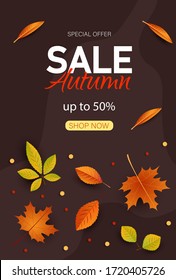 Autumn sale vector background. Autumn sale and discount text in red space with maple leaves in white textured background for fall season marketing promotion. Vector illustration Vertical view.