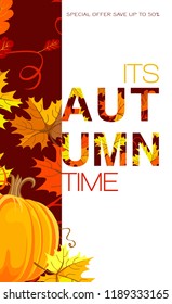 Autumn sale Vector background with pumpkin, orange, yellow, brown red fall forest Maple leaves, oak tree leaves. Negative space trend.  Autumn placard poster flyer invitation card. Its Autumn time.