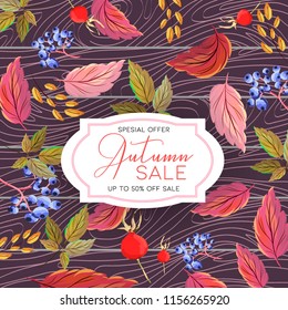 Autumn sale vector background red yellow fall leaves and blueberry, briar berry