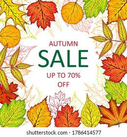 Autumn sale vector banner with fall leaves. Hand drawn fall frame illustration. Autumn leaves banner or background template. Square seasonal poster, voucher, offer, coupon, business promote template.