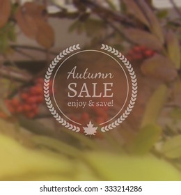 Autumn Sale Vector Banner on Vector Photo realistic Blur Background