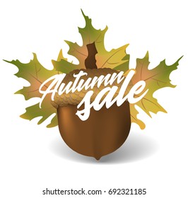 Autumn sale. Vector design concept with acorn and leaves on white background. Applicable for advertising and promotion, season offer, design gift card, flyer or placard.