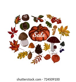 Autumn sale vector illustration. Fruits of fall botanic sketches.