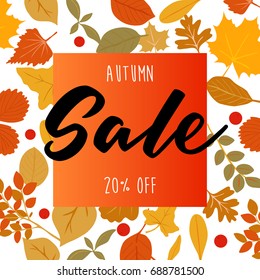 Autumn sale vector illustration with autumn leaves and white background