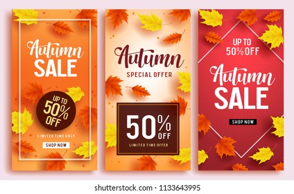 Autumn sale vector poster design template with 50% off sale text and colorful maple leaves background for fall season shopping discount promotion. Vector illustration.
