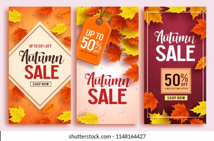 Autumn sale vector poster design set with colorful maple leaves element in background and sale discount text for fall season shopping promotion. Vector illustration.
