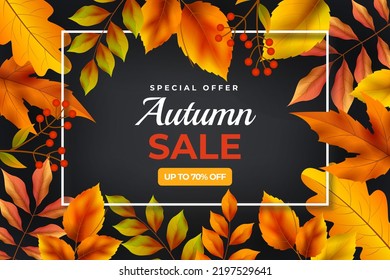 Autumn sale vector poster. Fallen leaves and birch trees on black background. Autumnal discount promo offer card for fall season price off, square frame design with typography and foliage 