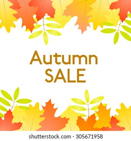 Autumn Sale - vector white background with autumn leaves at the top and at the bottom