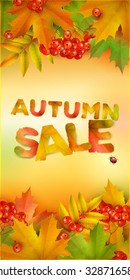 Autumn sale, vertical banner, vector background with maple leaves and berries of mountain ash