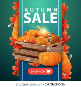 Autumn sale, web banner with ribbon, wooden crates of ripe pumpkins and autumn eaves
