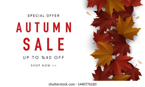 Autumn sale web banner template. Fall sale background with maple leaves. Vector illustration for card, posters, banners, leaflets, promotions. 