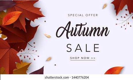 Autumn sale web banner template. Fall sale background with leaves and seeds. Calligraphic lettering on soft background. Vector illustration for card, posters, banners, leaflets, promotions.