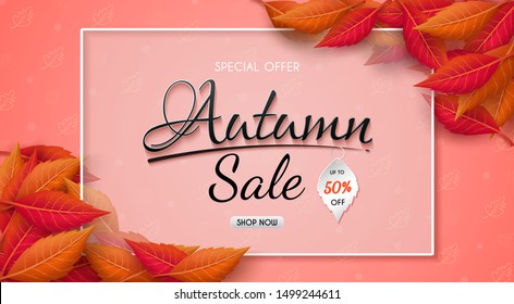 Autumn sales banner design with colorful seasonal fall leaves.and concept autumn advertising.and for shopping discount promotion.and frame leaflet or web banner.and used as illustration or background.