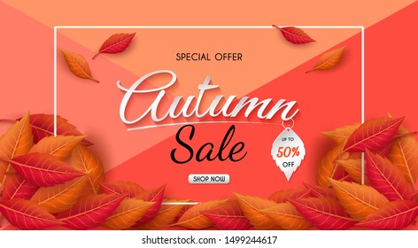 Autumn sales banner design with colorful seasonal fall leaves.and concept autumn advertising.and for shopping discount promotion.and frame leaflet or web banner.and used as illustration or background.