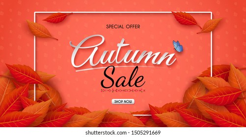 Autumn sales banner design with colorful seasonal fall leaves. and concept autumn advertising. for shopping discount promotion, frame leaflet or web banner. and used as illustration or background.